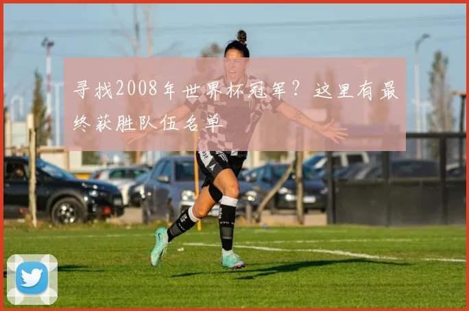 寻找2008年世界杯冠军？这里有最终获胜队伍名单