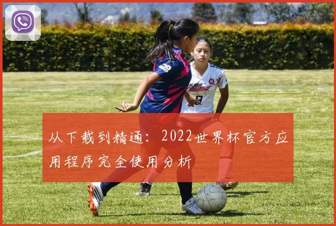 从下载到精通：2022世界杯官方应用程序完全使用分析