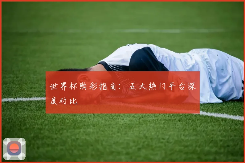 世界杯购彩指南:五大热门平台深度对比