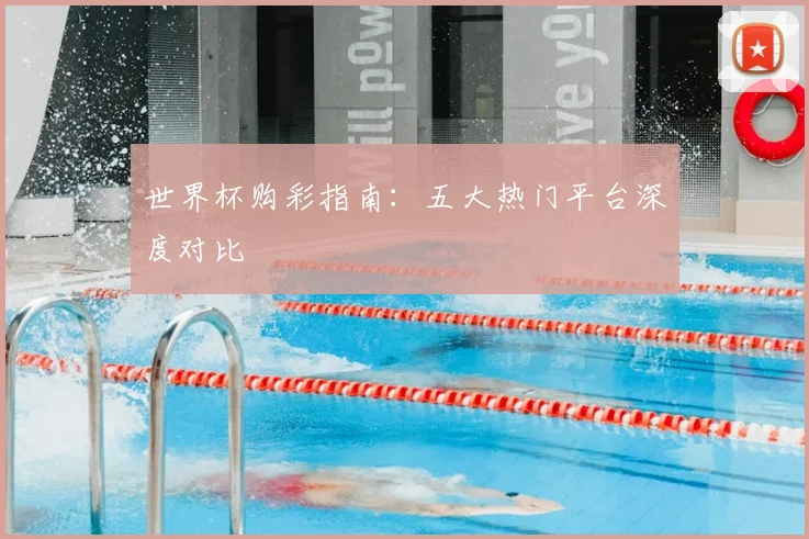 世界杯购彩指南:五大热门平台深度对比