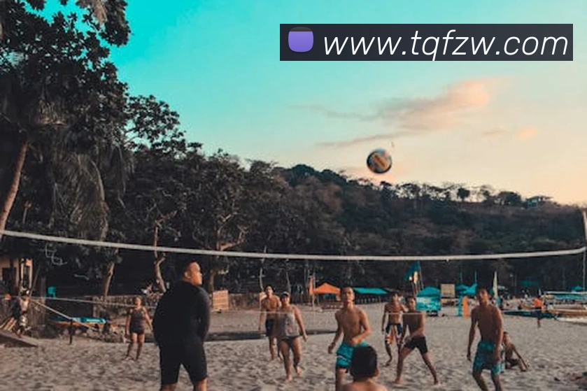 emc易倍体育官博平台生态图