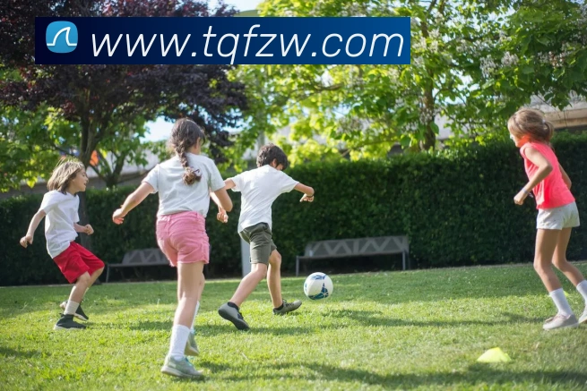 emc易倍体育官博APP 封面图